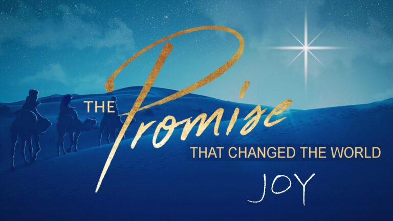 Joy in the Promise that Changed the World