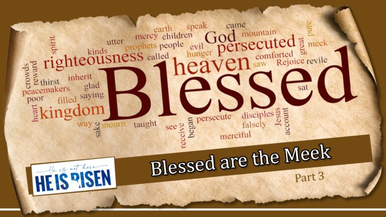 Blessed are The Meek
